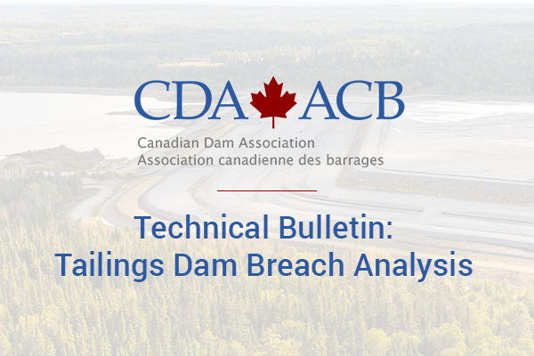 Dr. Violeta Martin a Key Contributor to the CDA Technical Bulletin on Tailings Dam Breach Analysis